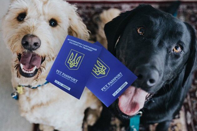 Electronic veterinary passports for pets to be introduced in Ukraine