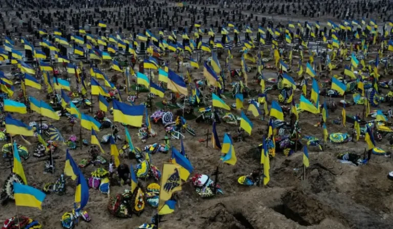 Opendatabot: Mortality rate is three times higher than birth rate in Ukraine this year