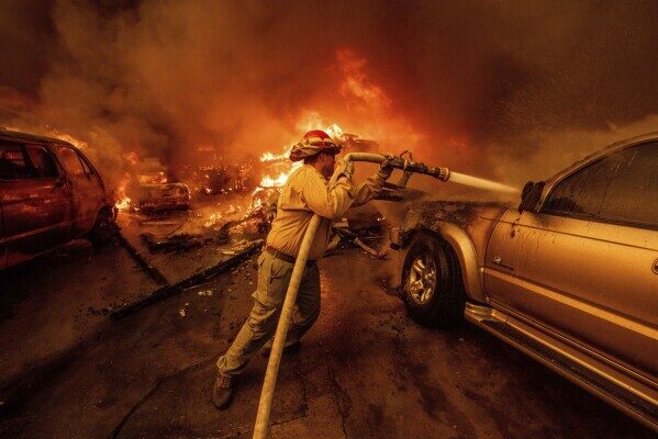 Donald Trump's son blames Ukraine for fires in California, Elon Musk supports him