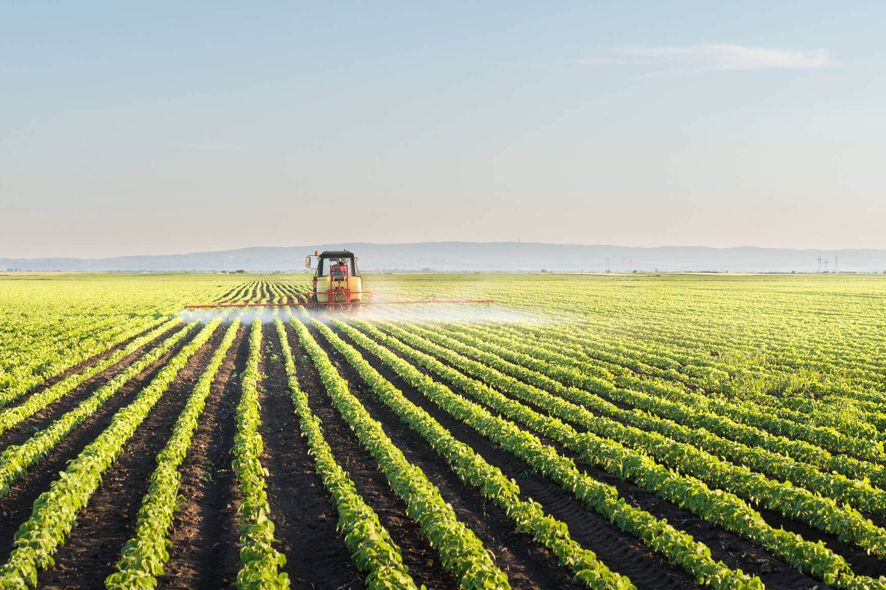 Agricultural production in Ukraine fell by 18.5% Agricultural production in Ukraine fell by 18.5%