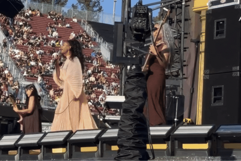 Willow Smith in a J'amemme dress at a concert in California