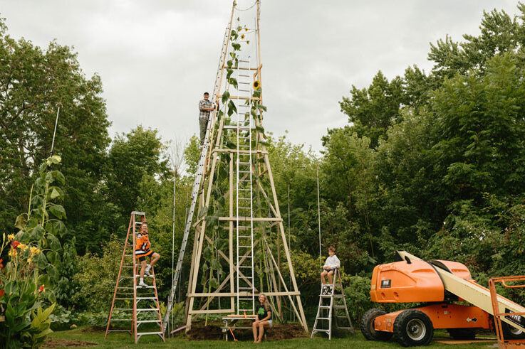 Ukrainian in the USA grew the world's tallest sunflower