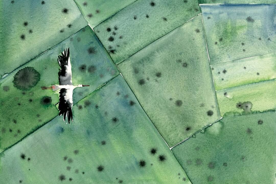 Ukrainian artist Margarita Winkler wins international illustration competition Ukrainian artist Margarita Winkler wins international illustration competition