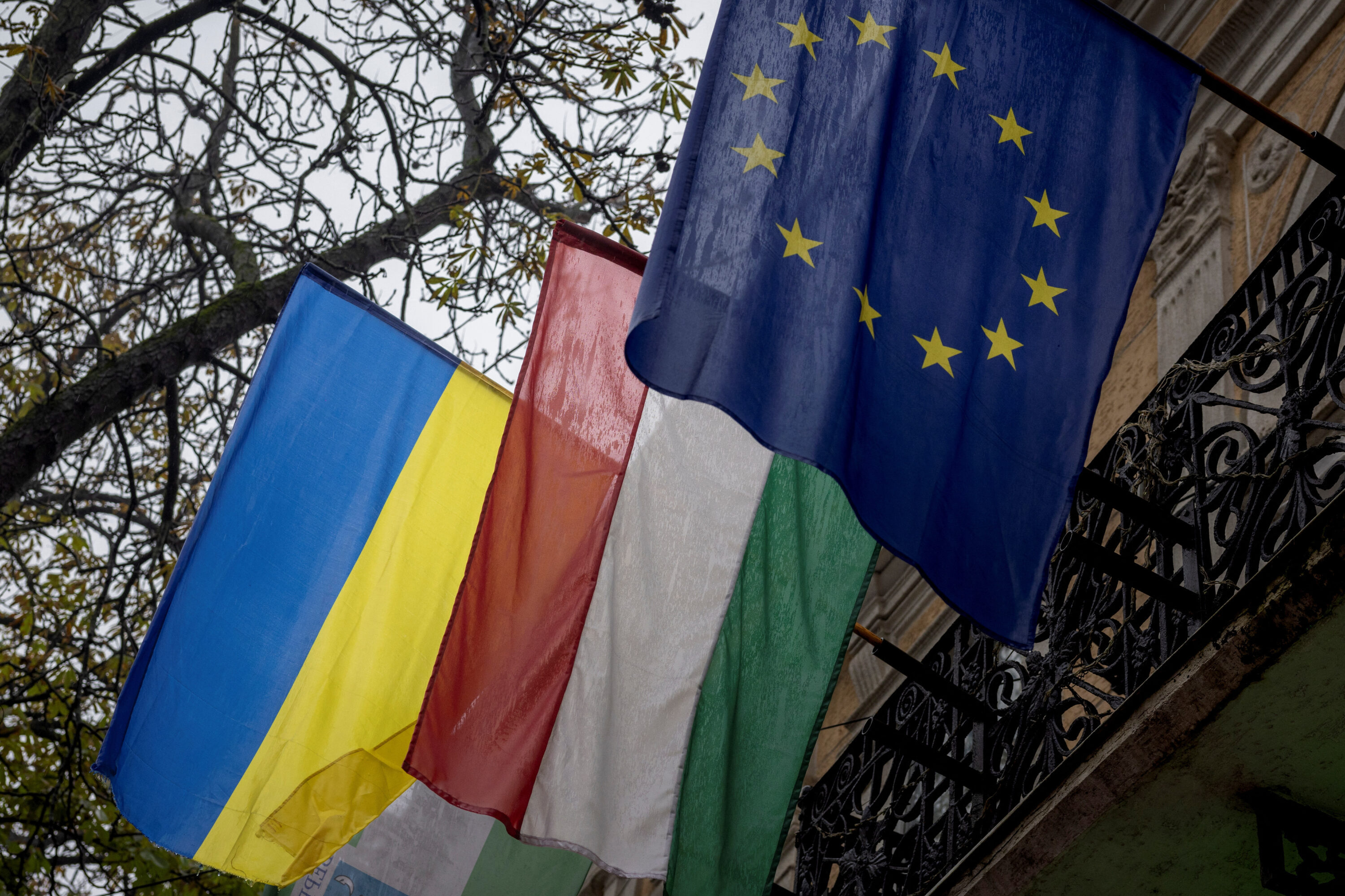 Hungary Confirms Absence of Military Aid to Ukraine Hungary Confirms Absence of Military Aid to Ukraine