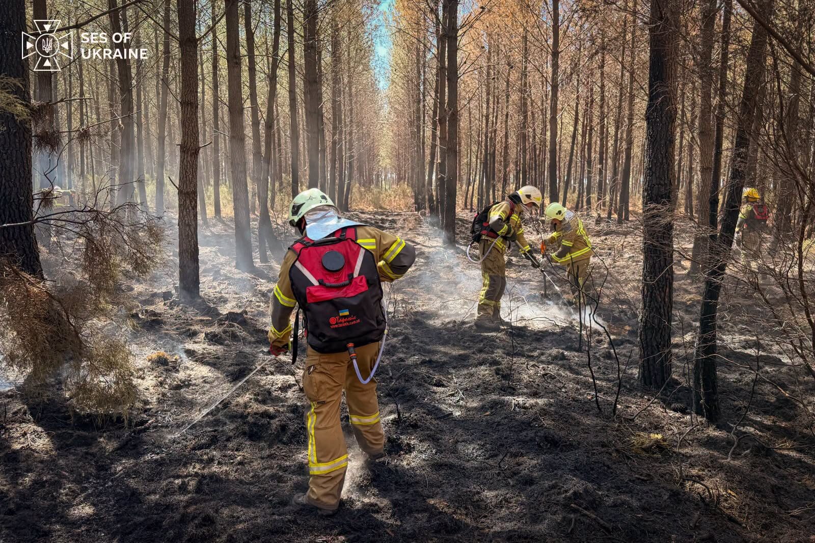 Ukrainian firefighters put out a forest fire in France and saved a settlement Ukrainian firefighters put out a forest fire in France and saved a settlement