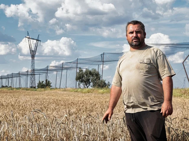 Урожай у безвиході: Українські фермери стикаються з серйозними викликами